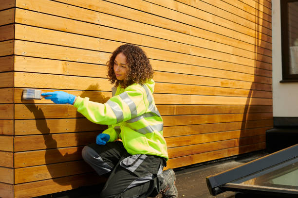 Storm Damage Siding Repair in Pioche, NV